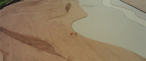 diorama eerste boeren koe hout landschap berg limburgs museum